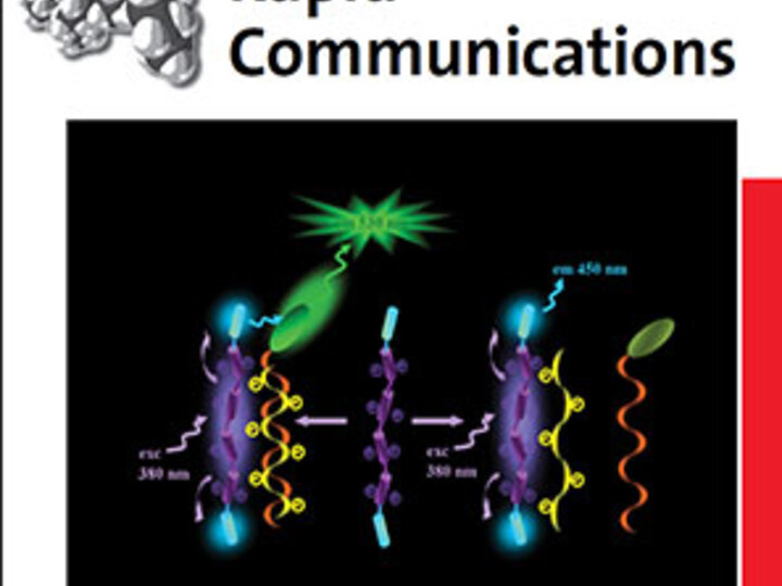 Macromolecular Communications Cover